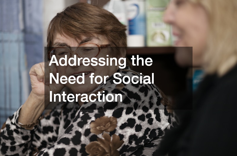 Addressing the Need for Social Interaction