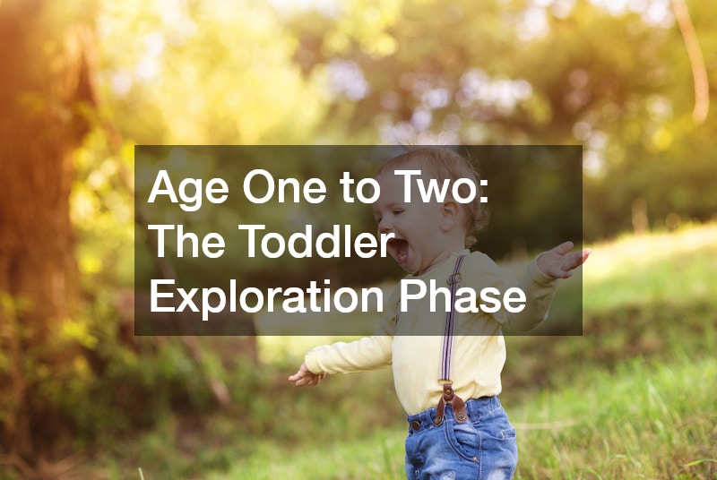 Age One to Two: The Toddler Exploration Phase