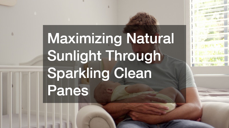 Maximizing Natural Sunlight Through Sparkling Clean Panes