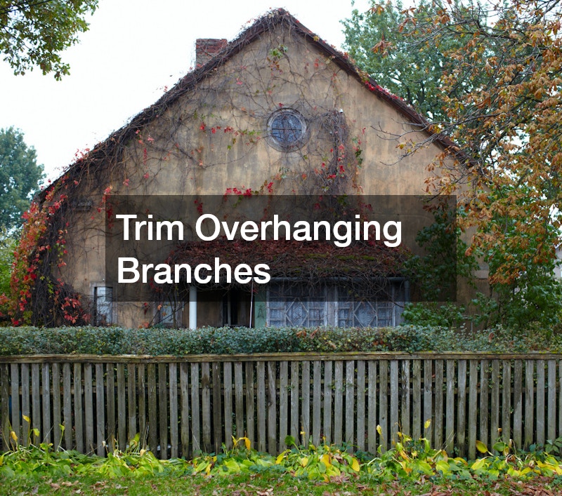 Trim Overhanging Branches