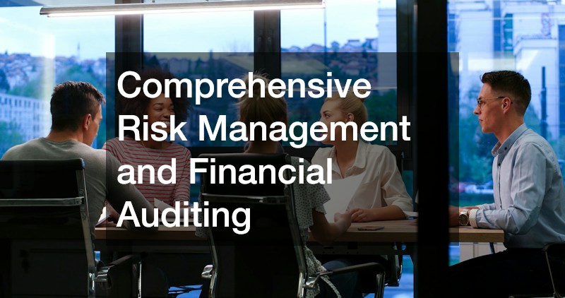 Comprehensive Risk Management and Financial Auditing