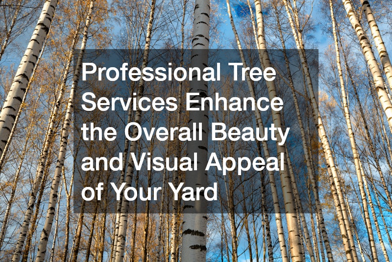 Professional Tree Services Enhance the Overall Beauty and Visual Appeal of Your Yard