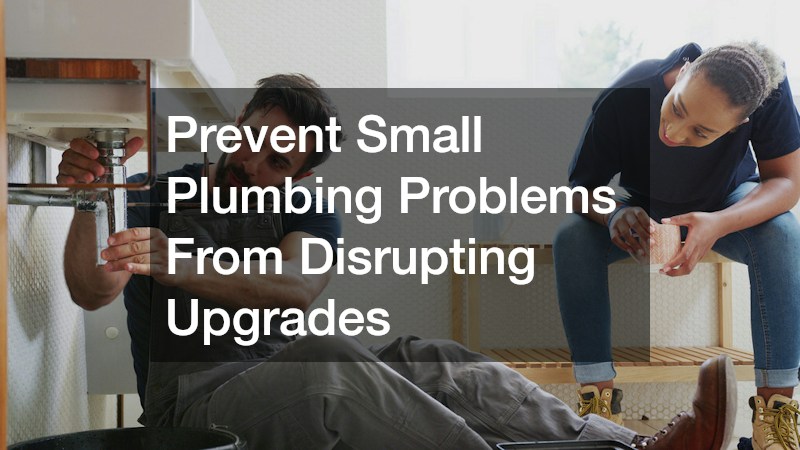 Prevent Small Plumbing Problems From Disrupting Upgrades