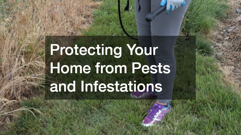 Protecting Your Home from Pests and Infestations