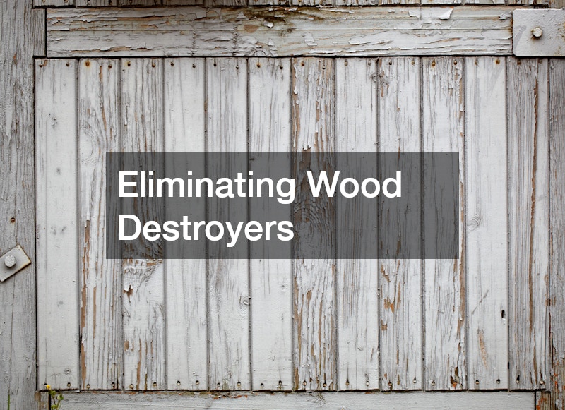 Eliminating Wood Destroyers