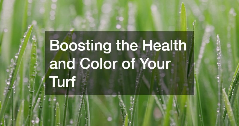 Boosting the Health and Color of Your Turf