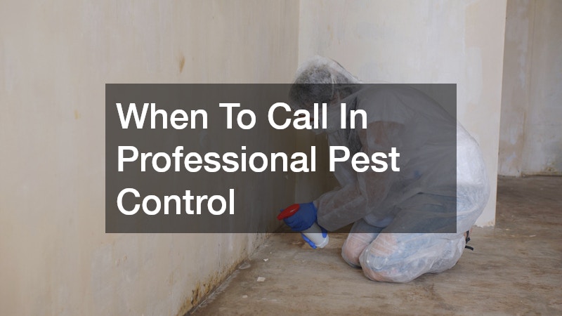 When To Call In Professional Pest Control