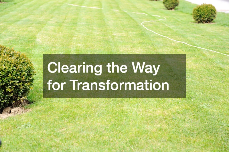 Clearing the Way for Transformation