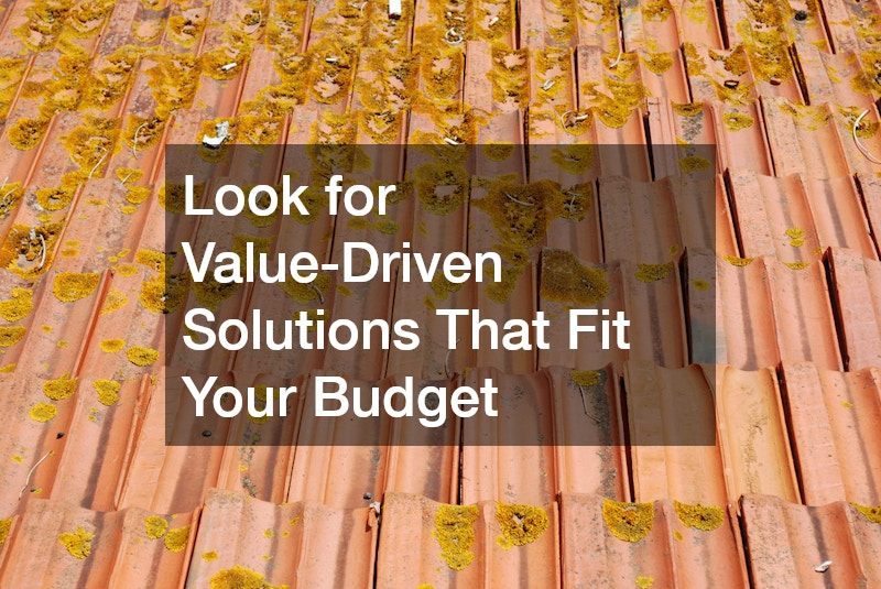 Look for Value-Driven Solutions That Fit Your Budget