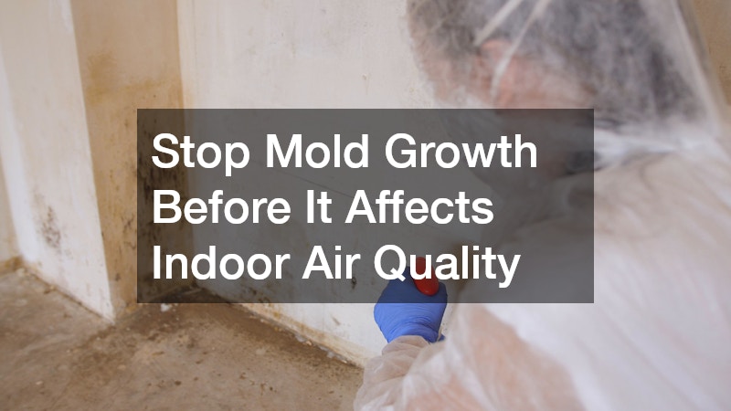 Stop Mold Growth Before It Affects Indoor Air Quality