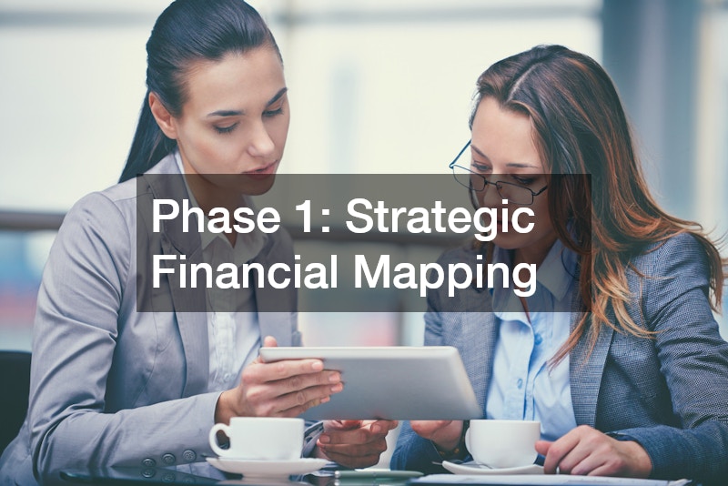 Phase 1: Strategic Financial Mapping