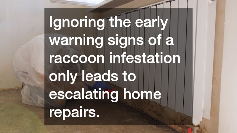 Ignoring the early warning signs of a raccoon infestation only leads to escalating home repairs.