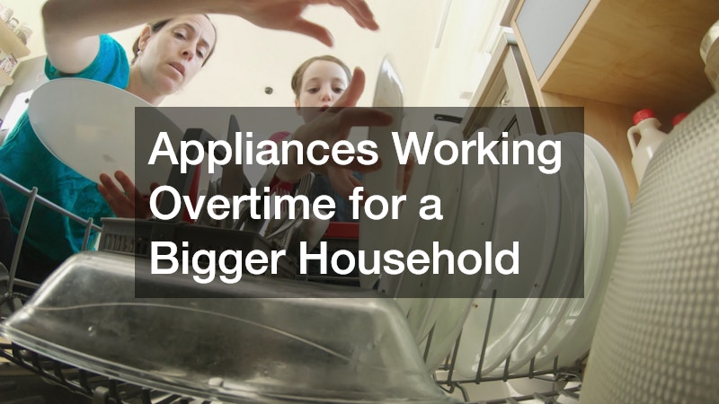 Appliances Working Overtime for a Bigger Household