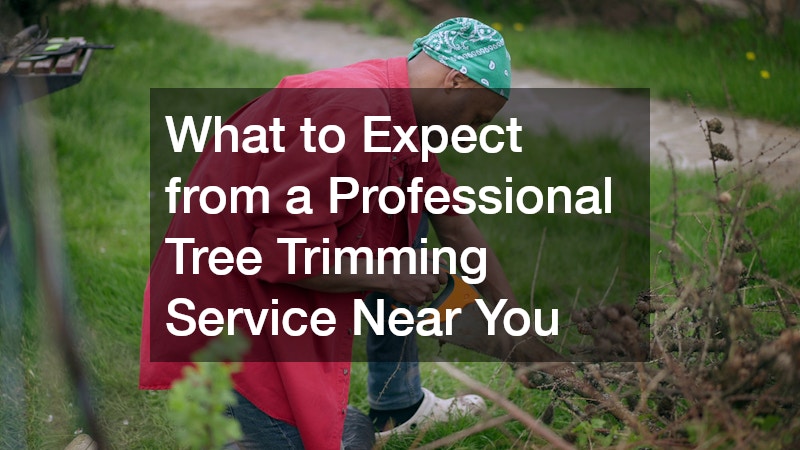 What to Expect from a Professional Tree Trimming Service Near You
