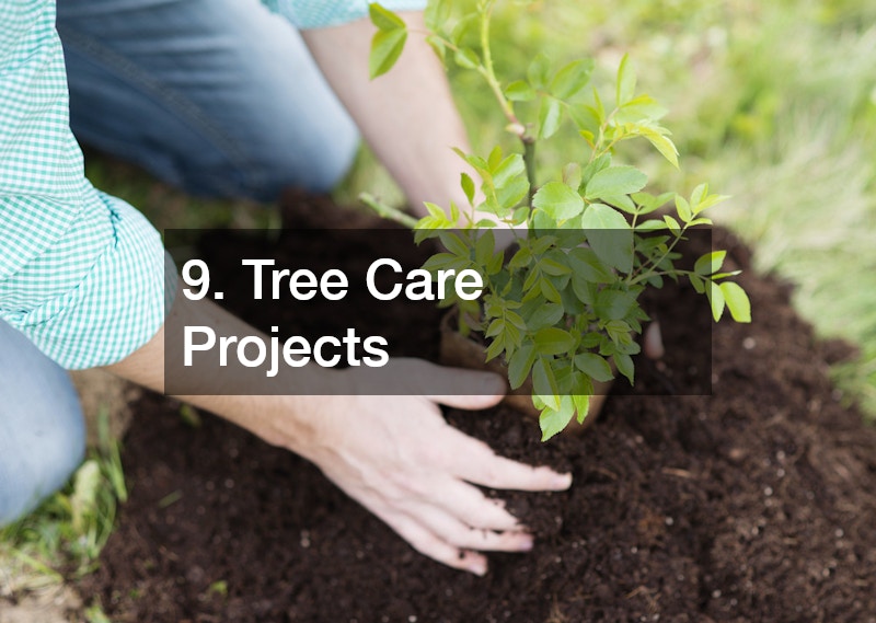 9. Tree Care Projects