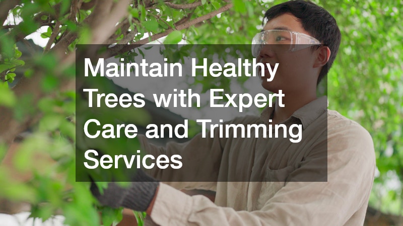 Maintain Healthy Trees with Expert Care and Trimming Services