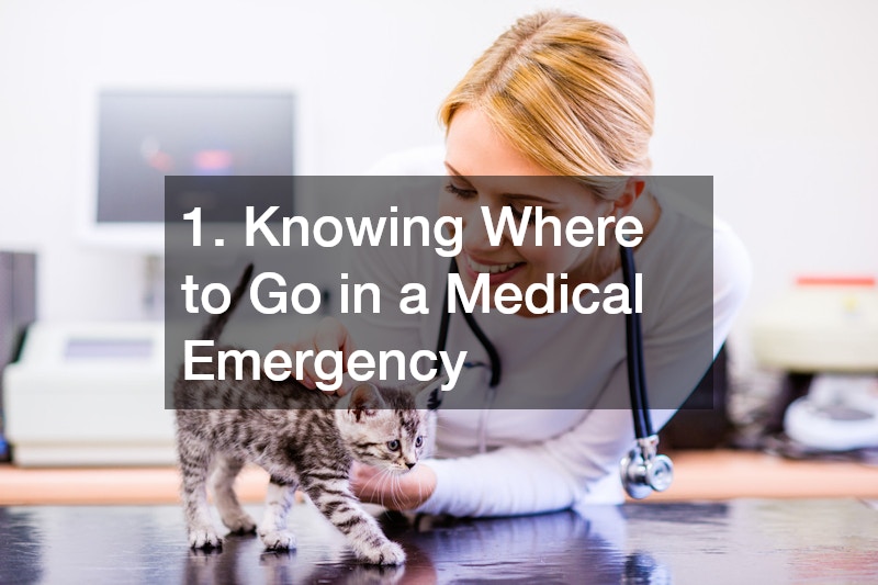 1. Knowing Where to Go in a Medical Emergency