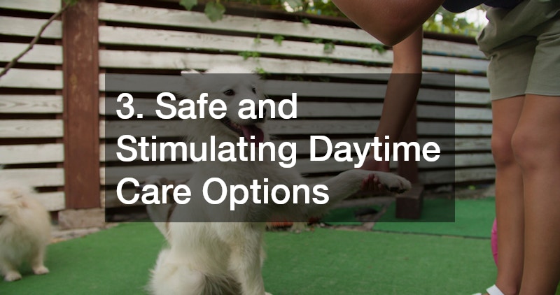 3. Safe and Stimulating Daytime Care Options