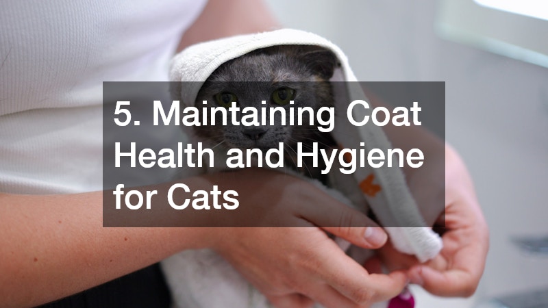 5. Maintaining Coat Health and Hygiene for Cats