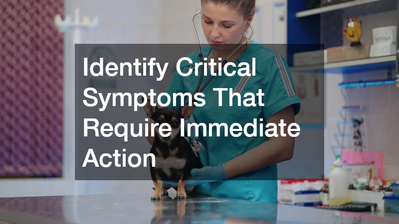 Identify Critical Symptoms That Require Immediate Action