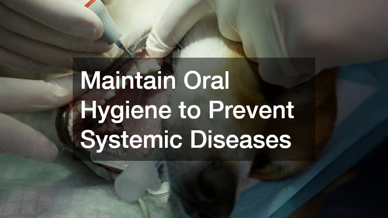 Maintain Oral Hygiene to Prevent Systemic Diseases