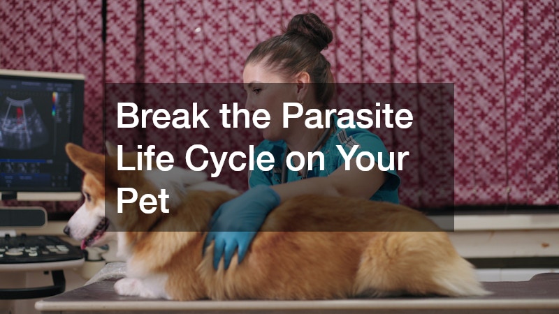 Break the Parasite Life Cycle on Your Pet