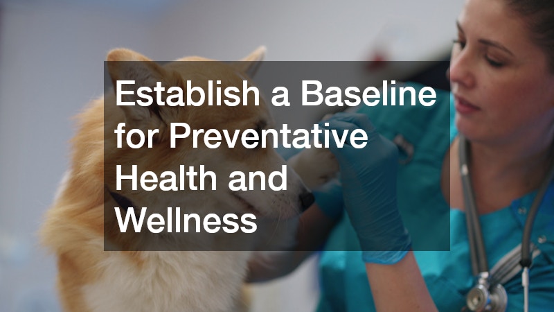 Establish a Baseline for Preventative Health and Wellness