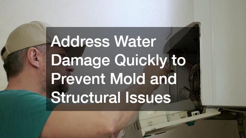 Address Water Damage Quickly to Prevent Mold and Structural Issues