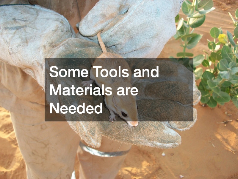 Some Tools and Materials are Needed