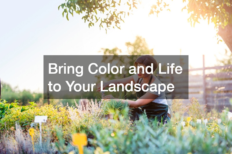 Bring Color and Life to Your Landscape