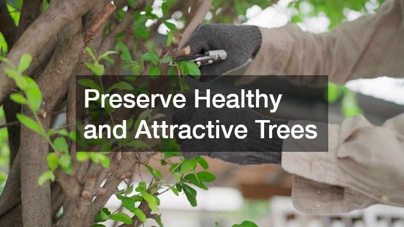 Preserve Healthy and Attractive Trees