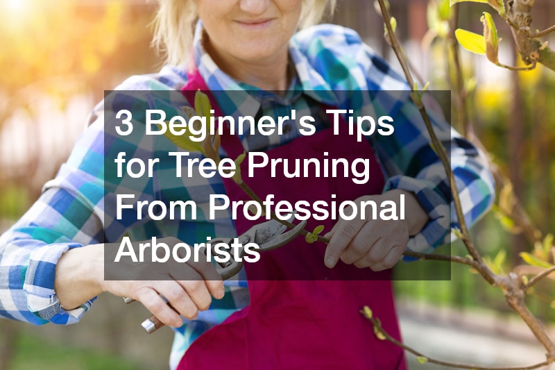 3 Beginner