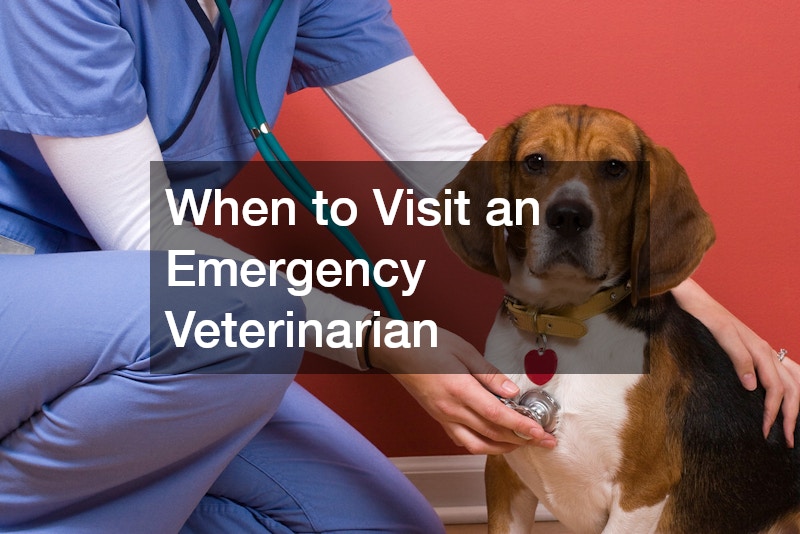 When to Visit an Emergency Veterinarian
