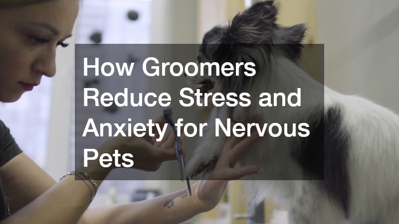 How Groomers Reduce Stress and Anxiety for Nervous Pets