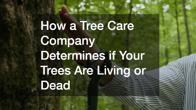 How a Tree Care Company Determines if Your Trees Are Living or Dead
