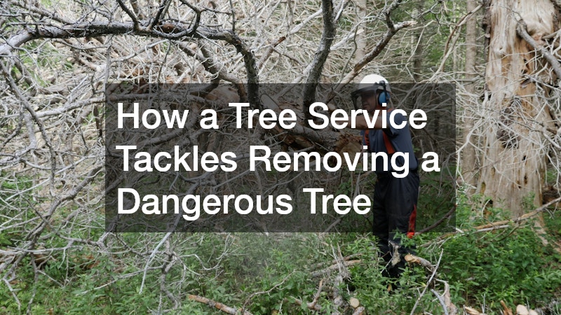 How a Tree Service Tackles Removing a Dangerous Tree