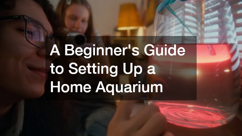A Beginner