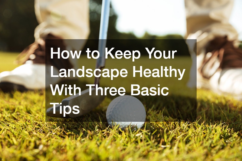 How to Keep Your Landscape Healthy With Three Basic Tips