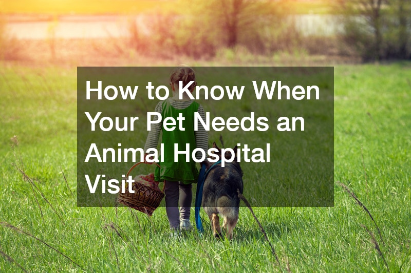How to Know When Your Pet Needs an Animal Hospital Visit