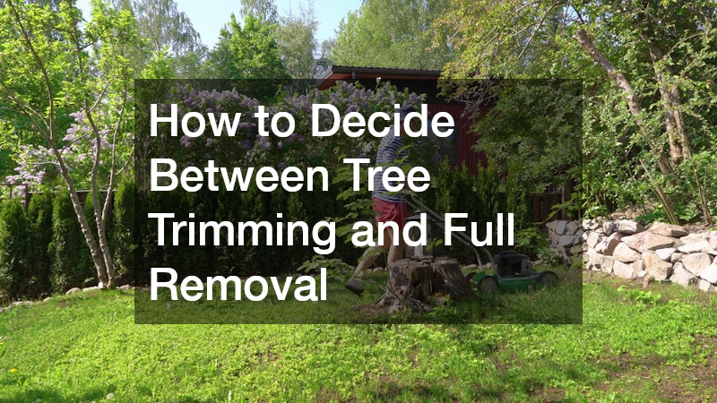 How to Decide Between Tree Trimming and Full Removal