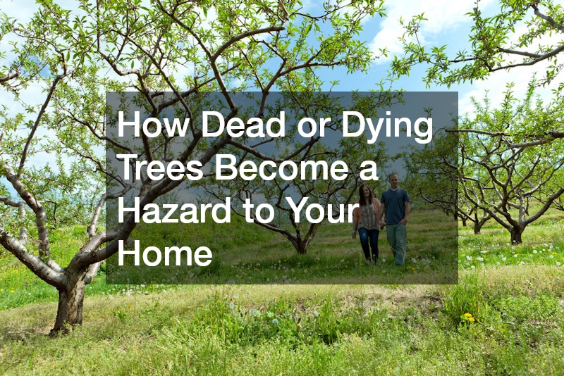 How Dead or Dying Trees Become a Hazard to Your Home