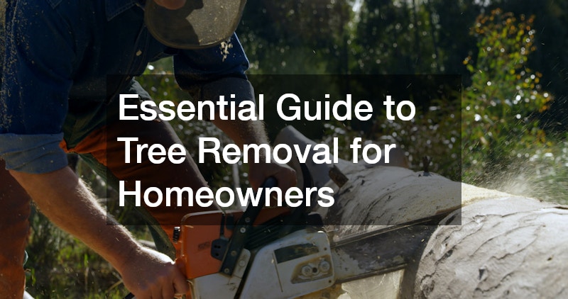 Essential Guide to Tree Removal for Homeowners