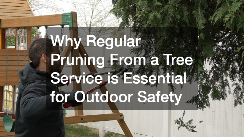 Why Regular Pruning From a Tree Service is Essential for Outdoor Safety