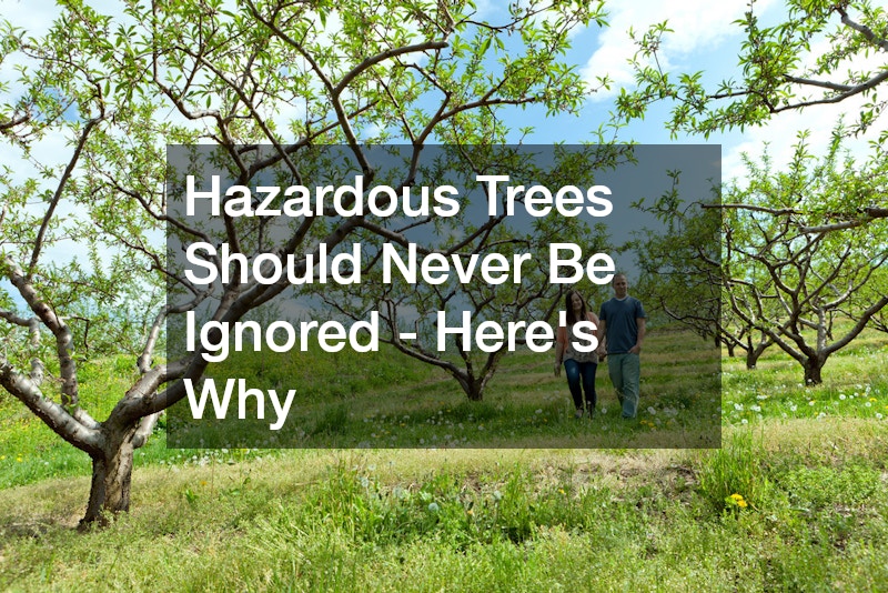 Hazardous Trees Should Never Be Ignored - Here