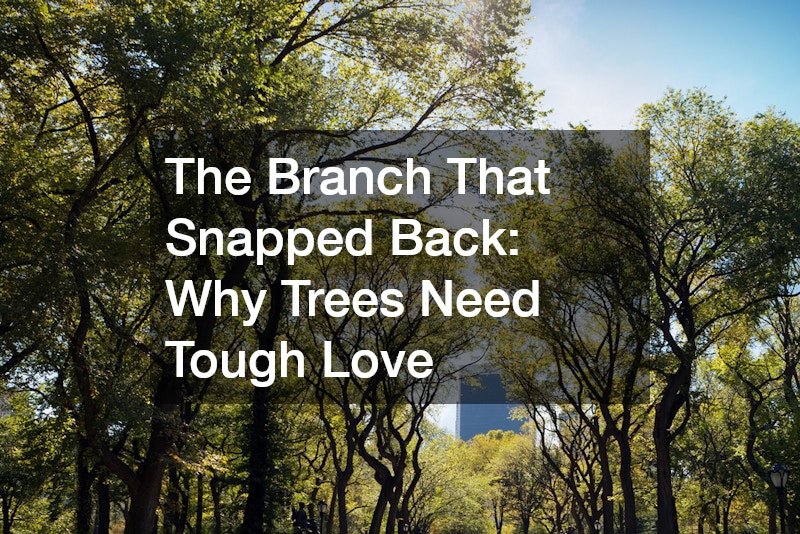 The Branch That Snapped Back: Why Trees Need Tough Love
