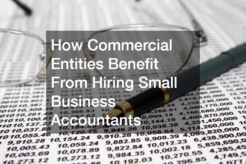 How Commercial Entities Benefit From Hiring Small Business Accountants
