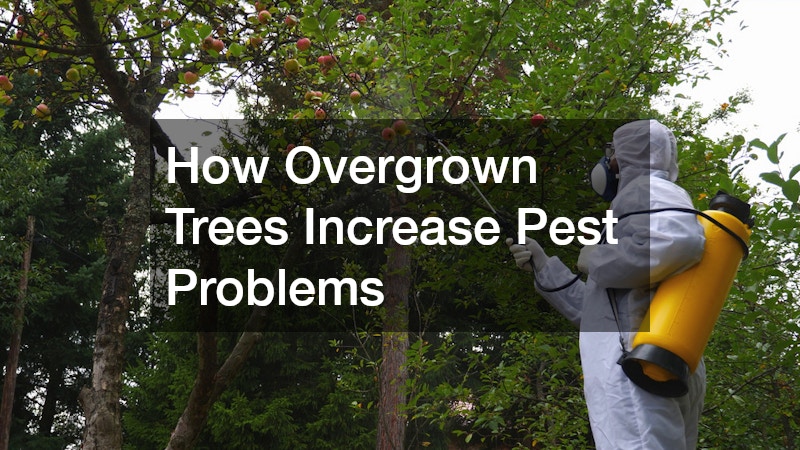 How Overgrown Trees Increase Pest Problems