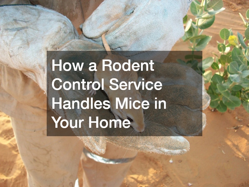 How a Rodent Control Service Handles Mice in Your Home