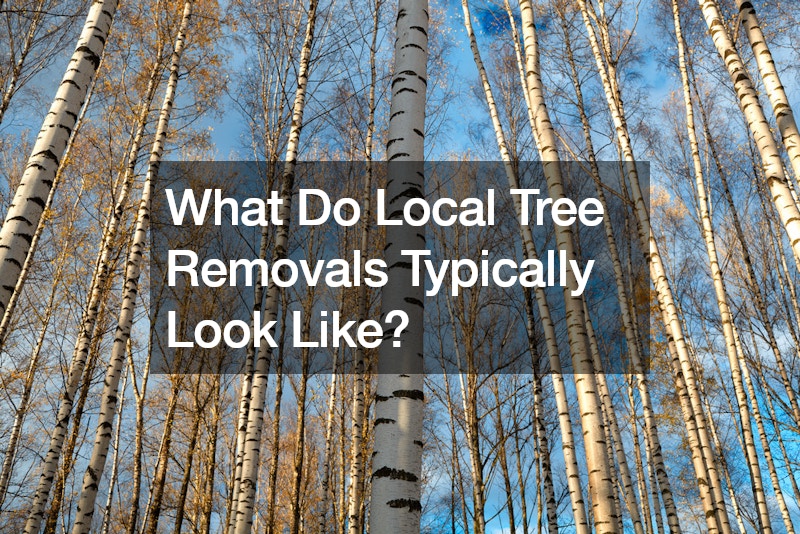 What Do Local Tree Removals Typically Look Like?