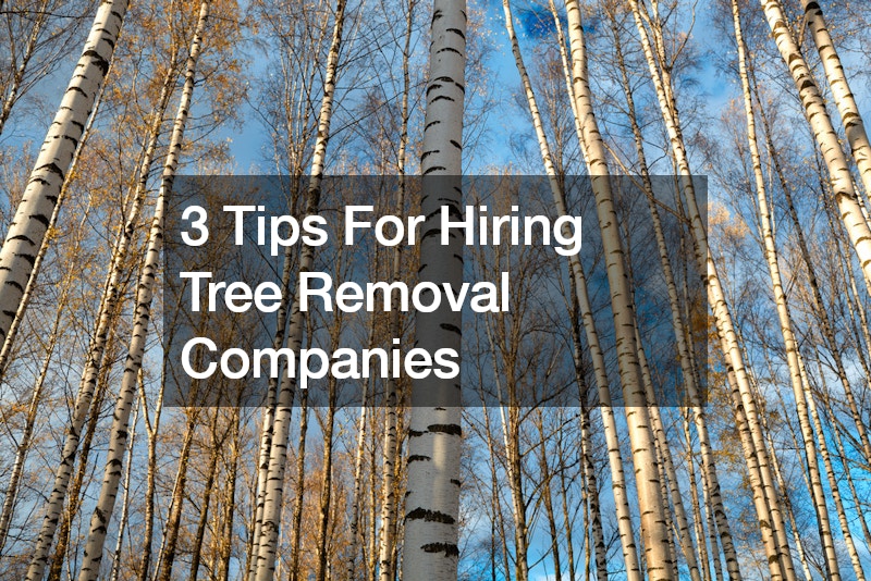 3 Tips For Hiring Tree Removal Companies
